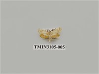 藏品(螟蛾170)的圖片